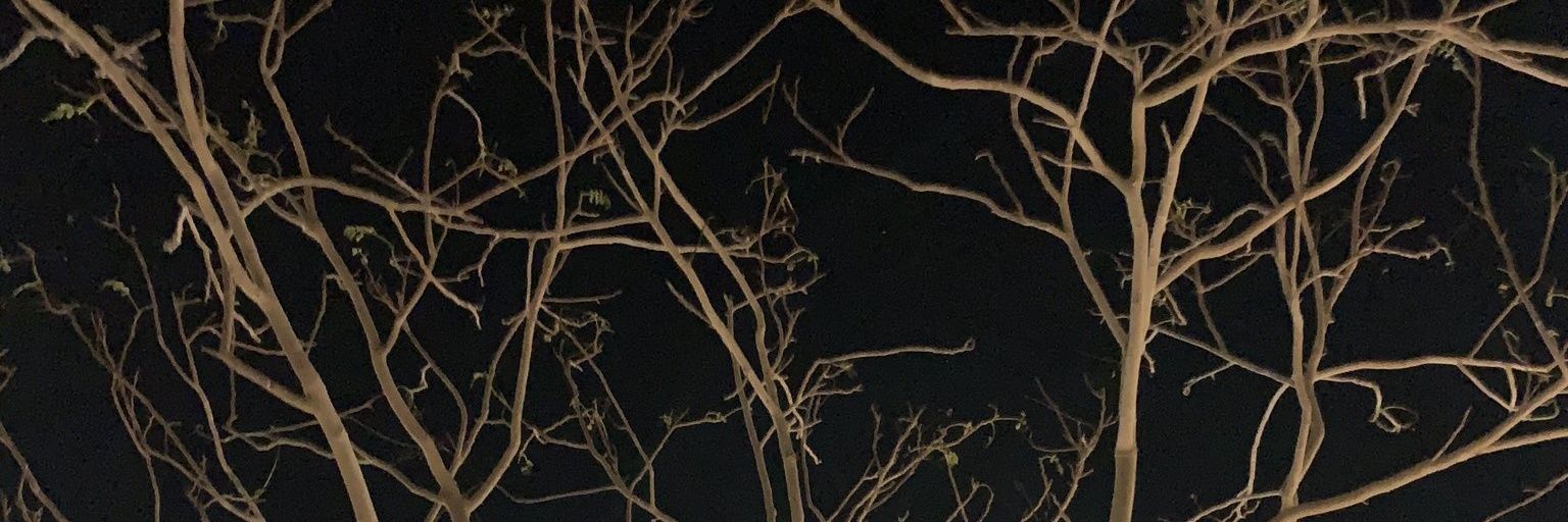 live1yasser's profile banner image