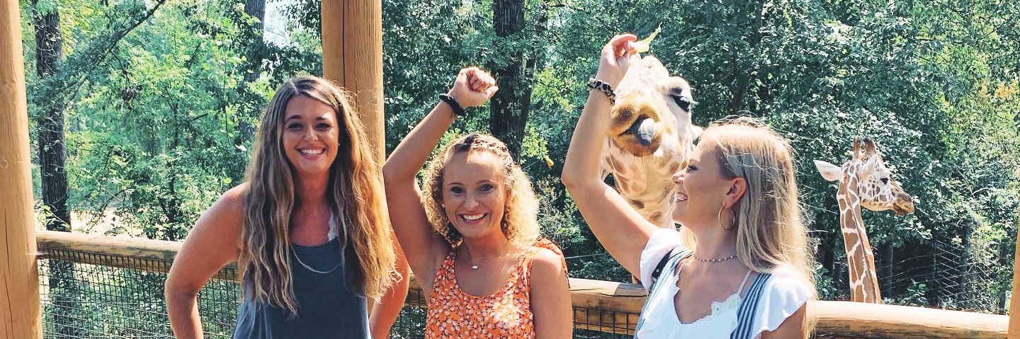 mollielovesya's profile banner image