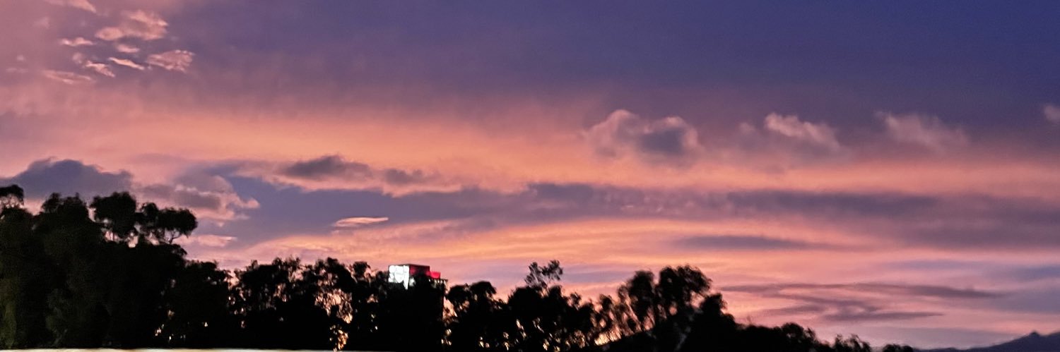 mmichms's profile banner image