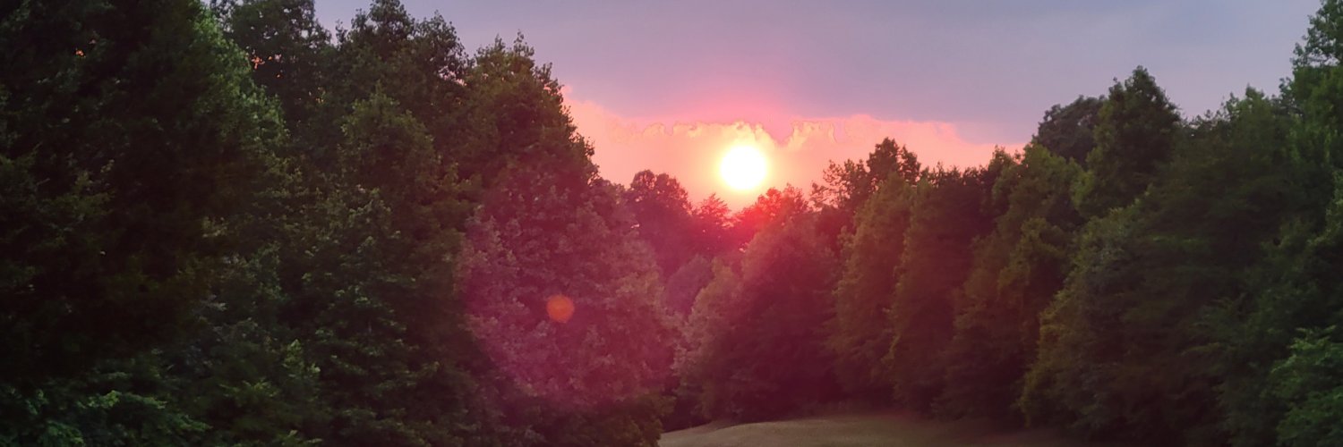 UGAvery's profile banner image