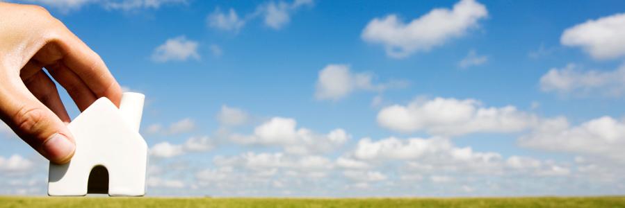LifeTenancy's profile banner image