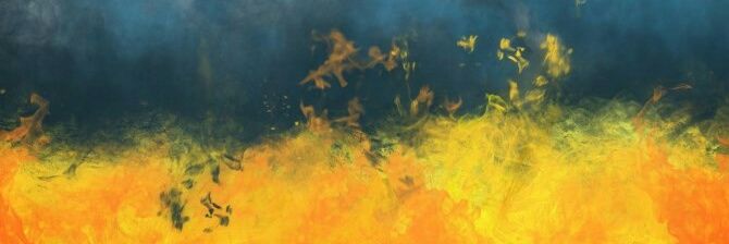 v_pekhno's profile banner image