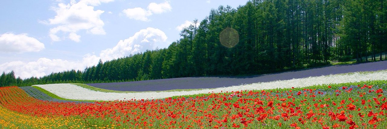 trinityhome83's profile banner image