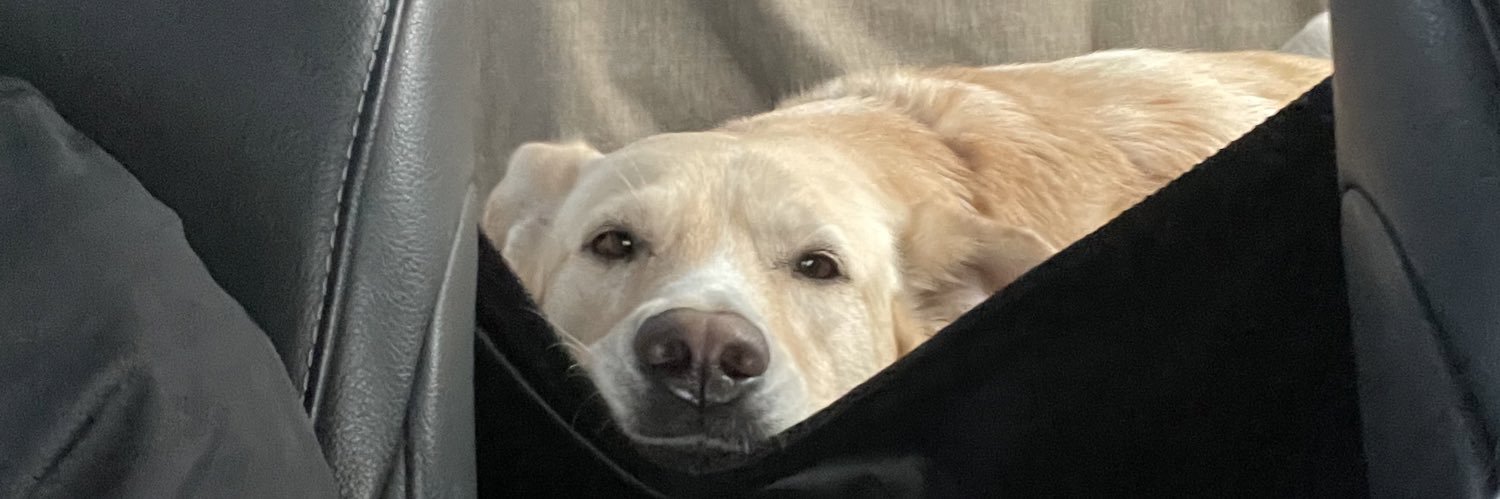 allysondmwalker's profile banner image