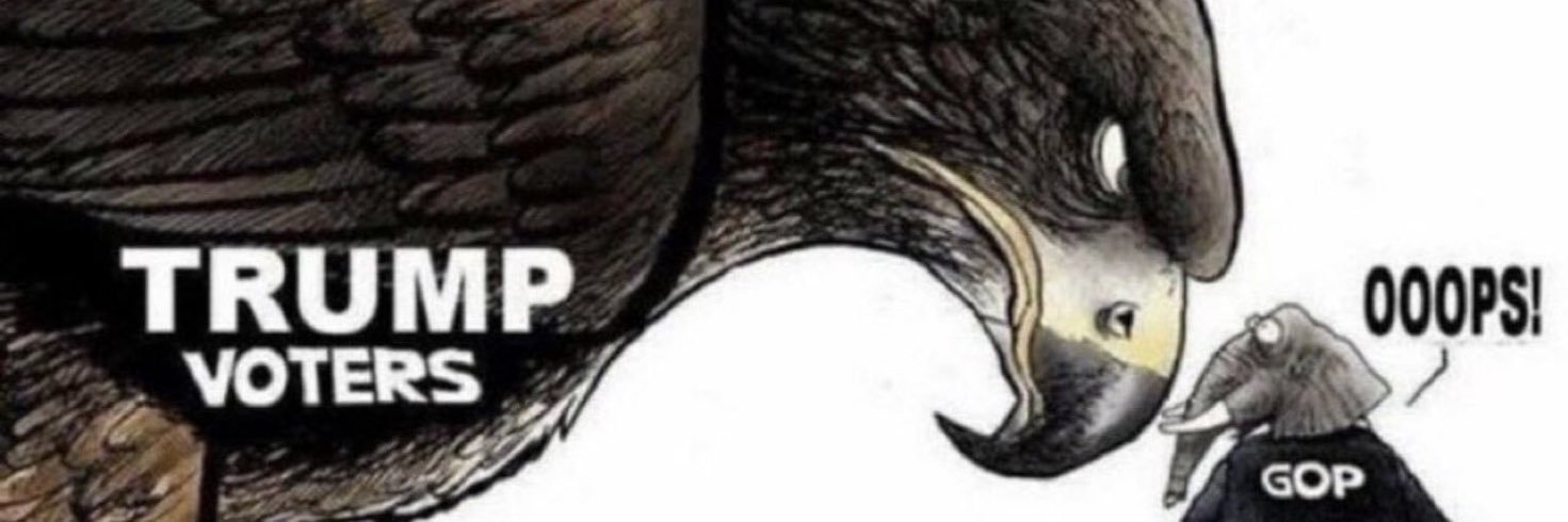 tomdewalt's profile banner image