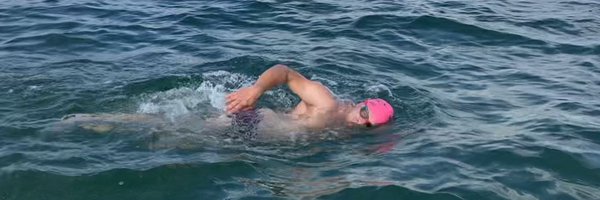 timbirdlaw Profile Banner