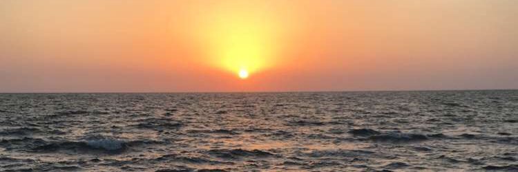 abohass's profile banner image