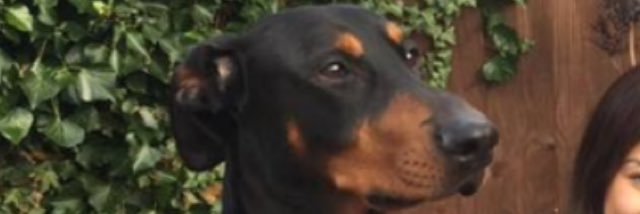 mark99brownlow's profile banner image