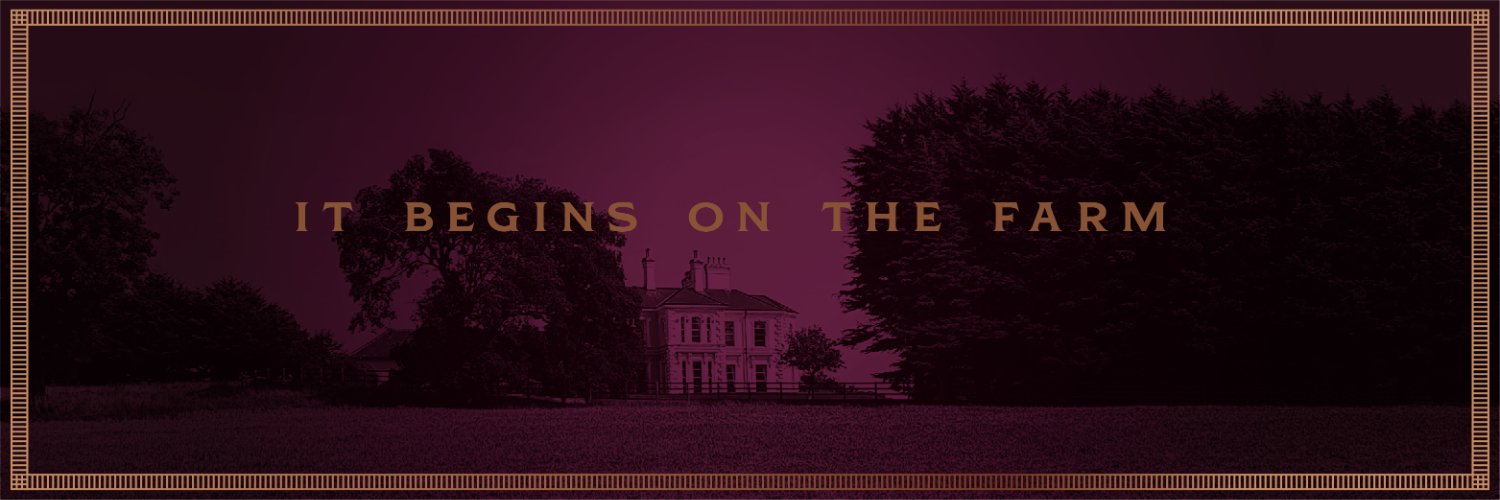 Echlinville's profile banner image
