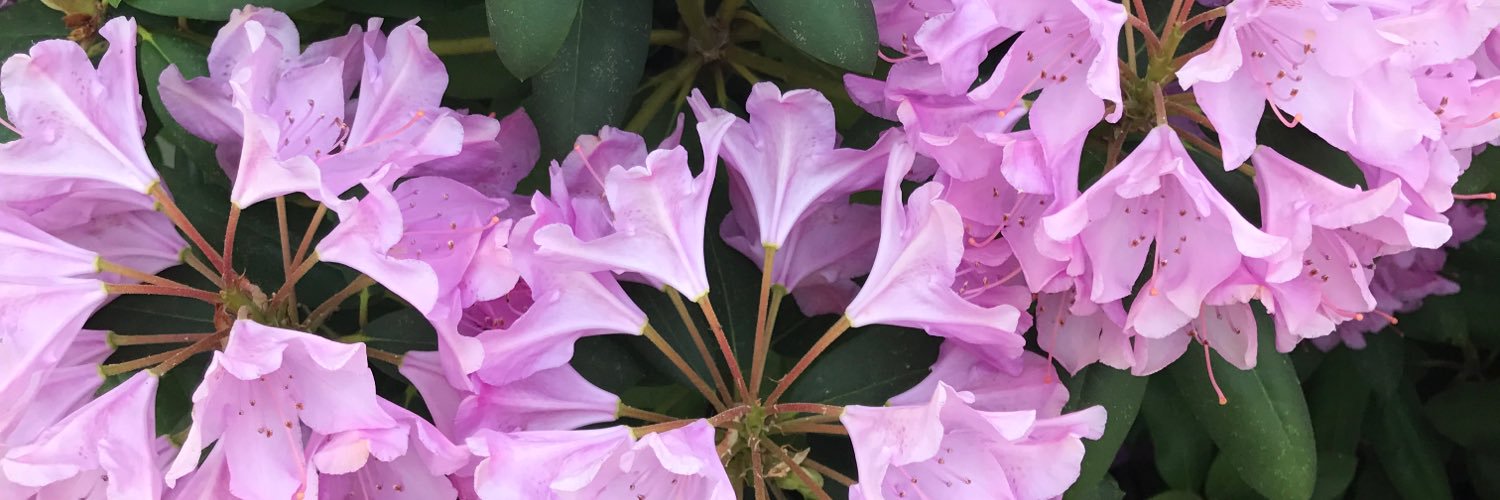 AmandaW44's profile banner image