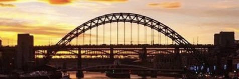 MrsMarabou's profile banner image