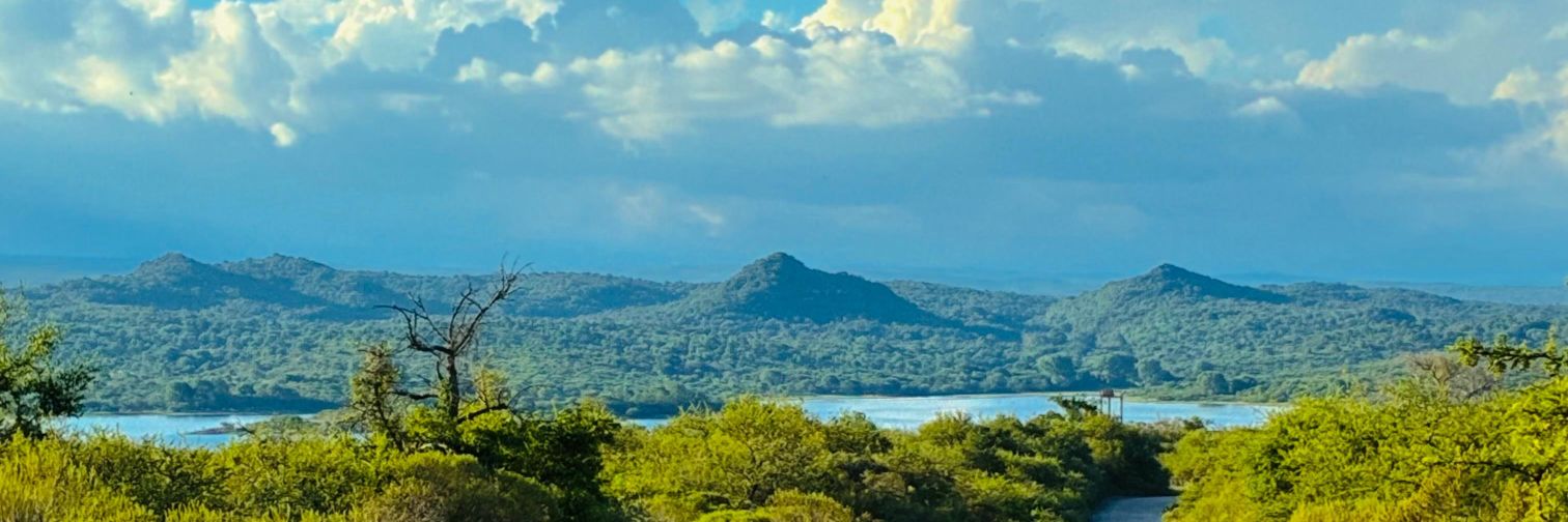 𝔍𝖔𝖗𝖉𝖆 𝕱𝖑𝖊𝖈𝖍𝖆🌪 banner