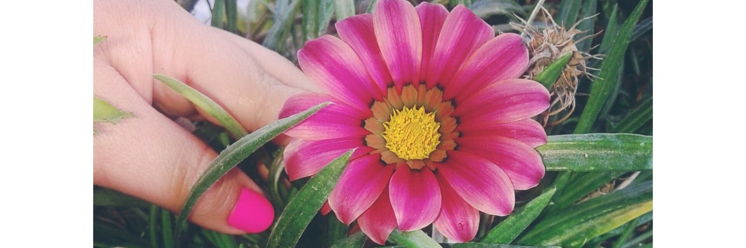 KimyH__'s profile banner image