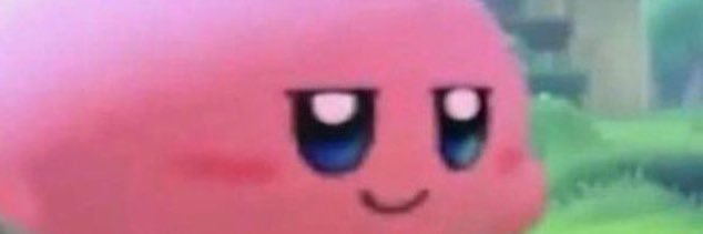 Americas Next Top Anti Zionist banner