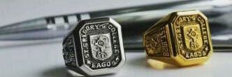 Ugo banner