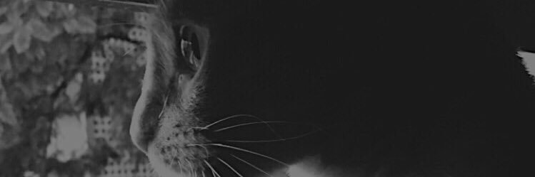 ValenAkselrad_'s profile banner image