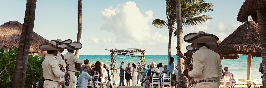 Arleplaya's profile banner image