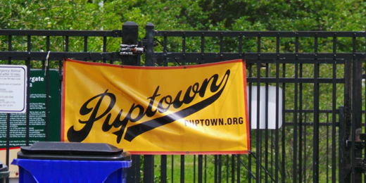 Puptown_DFA's profile banner image