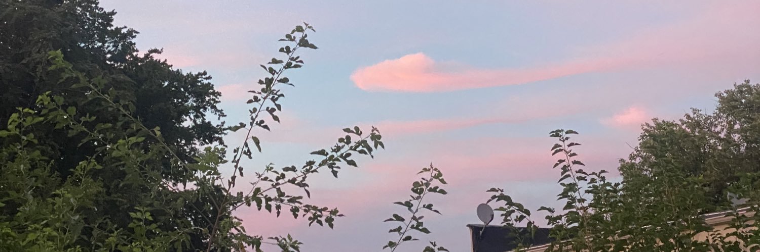 alliekleinn's profile banner image