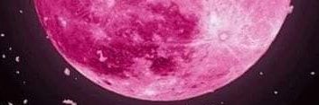 teresit_mg's profile banner image
