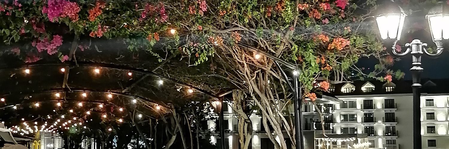 Jesusalberto929's profile banner image