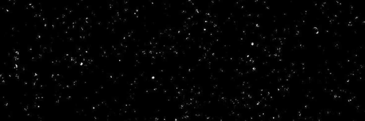 _TaylorNashelle's profile banner image