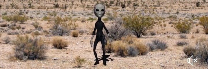 Maxine1952's profile banner image