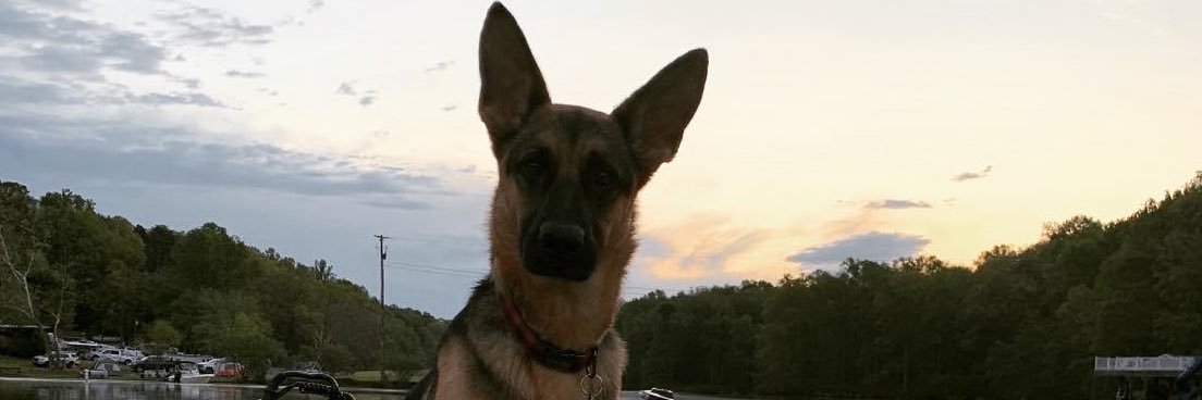 BrockAdams31's profile banner image