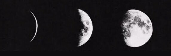 1facchi's profile banner image