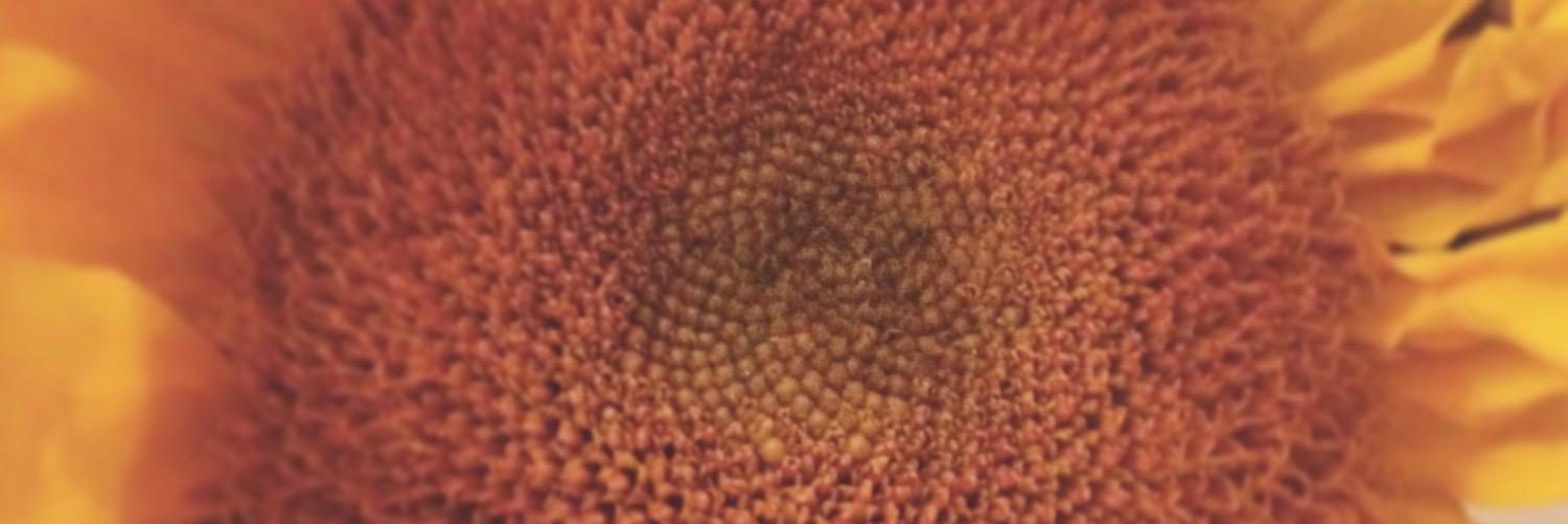 KaleighInWeir's profile banner image
