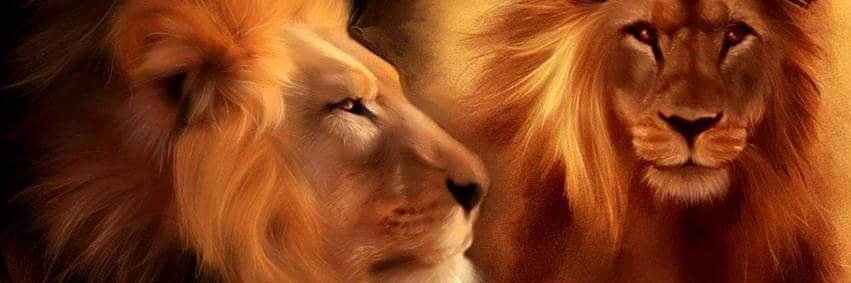 amo_kool's profile banner image
