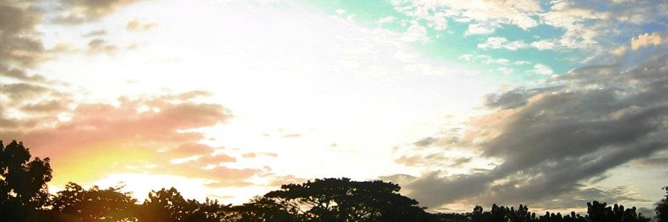 aliiiquee's profile banner image