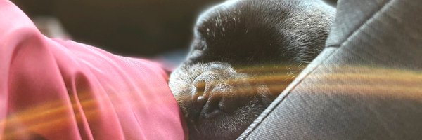 RivetAdam Profile Banner