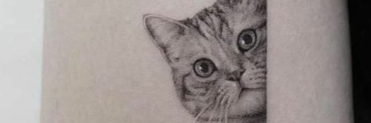 katybigbigwin's profile banner image
