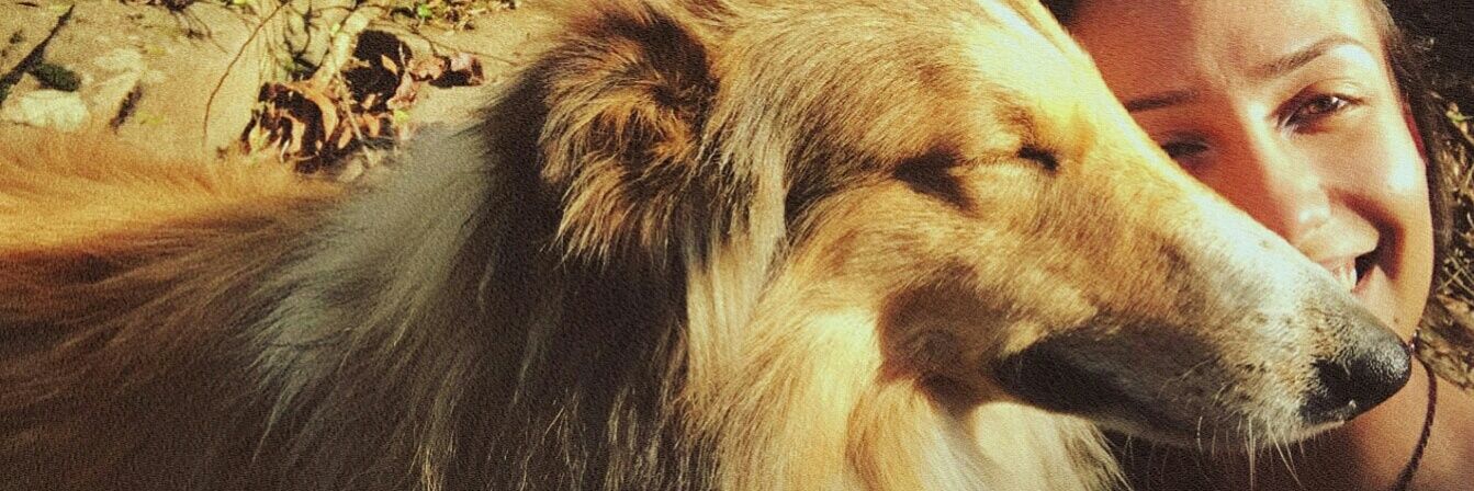 noiteespectral's profile banner image