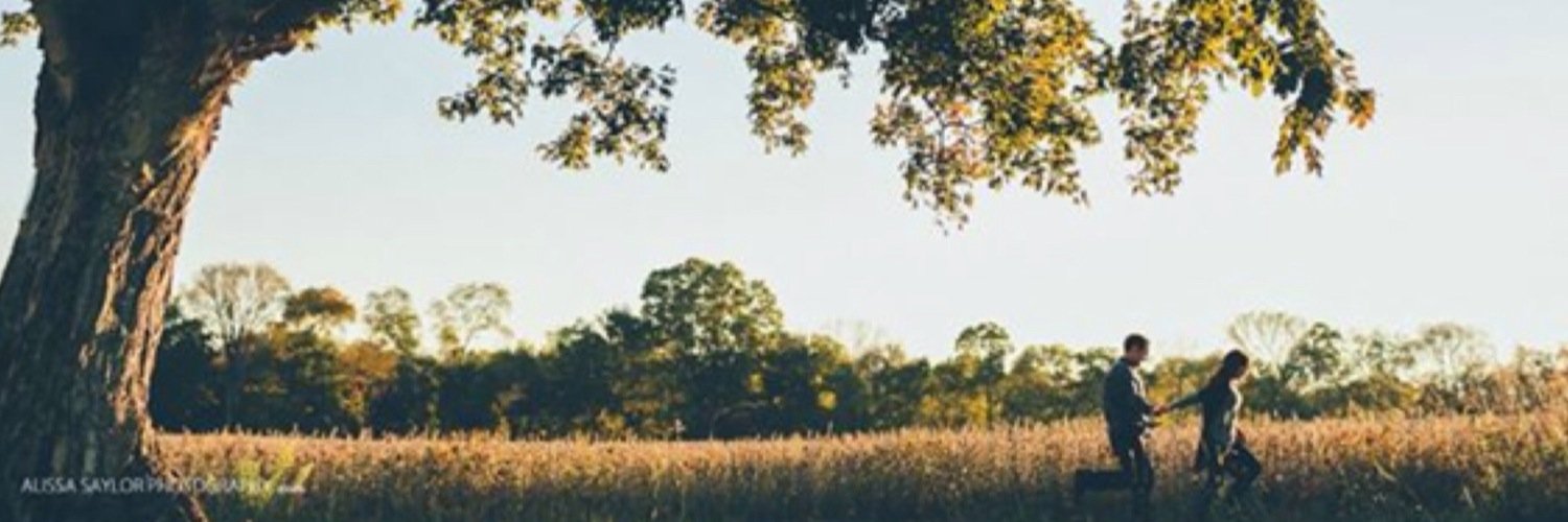 CheerN4ya's profile banner image