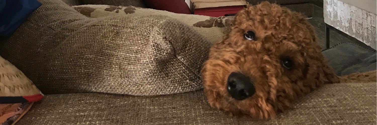 keeksie's profile banner image