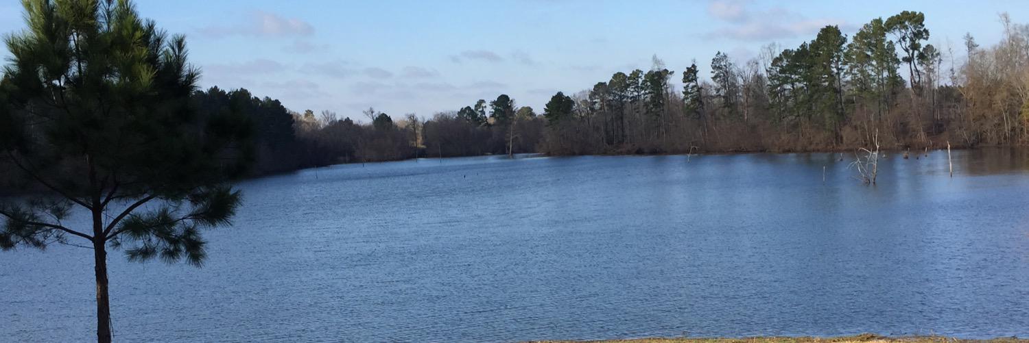 Andrew_Collins6's profile banner image