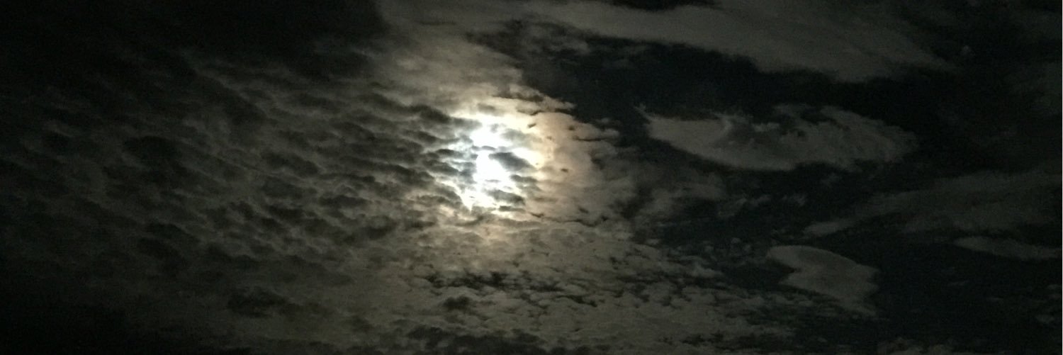 zeFreakBoy's profile banner image