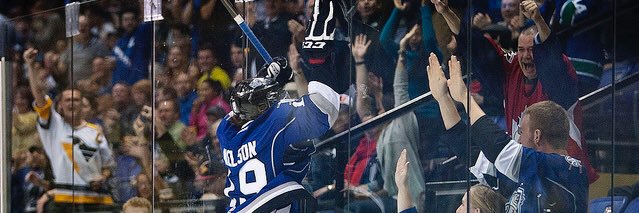 Logan Nelson banner