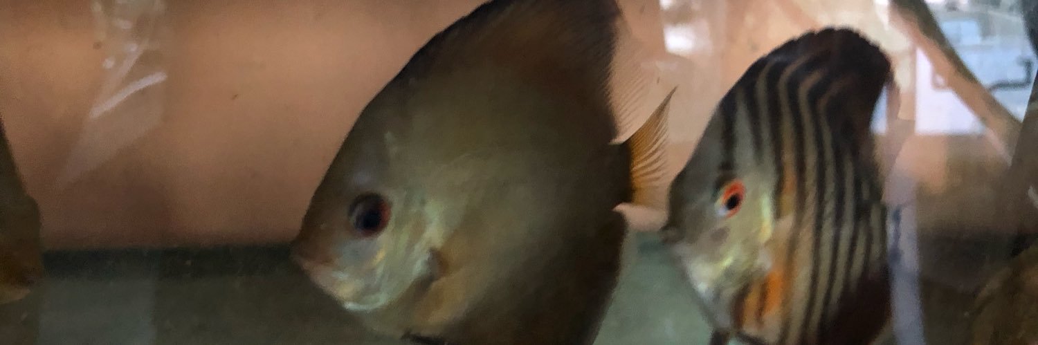 irunmunlowo's profile banner image