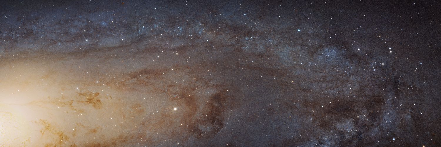 ensittie's profile banner image