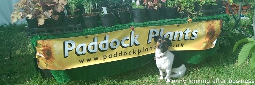 PaddockPlants's profile banner image