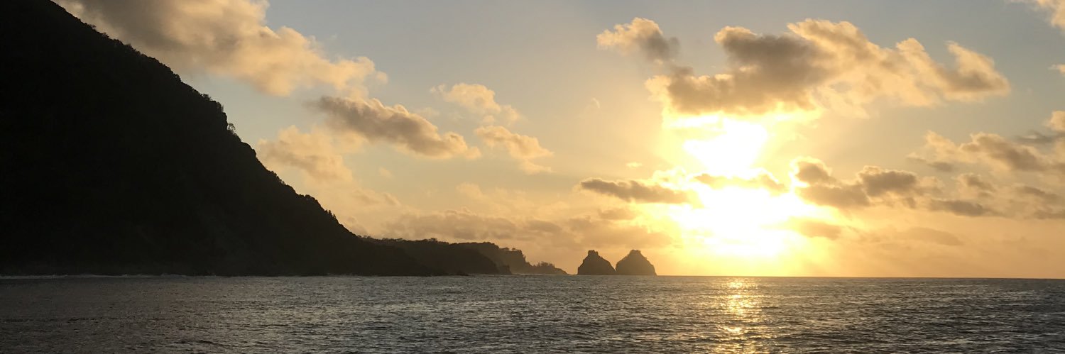 louisales's profile banner image