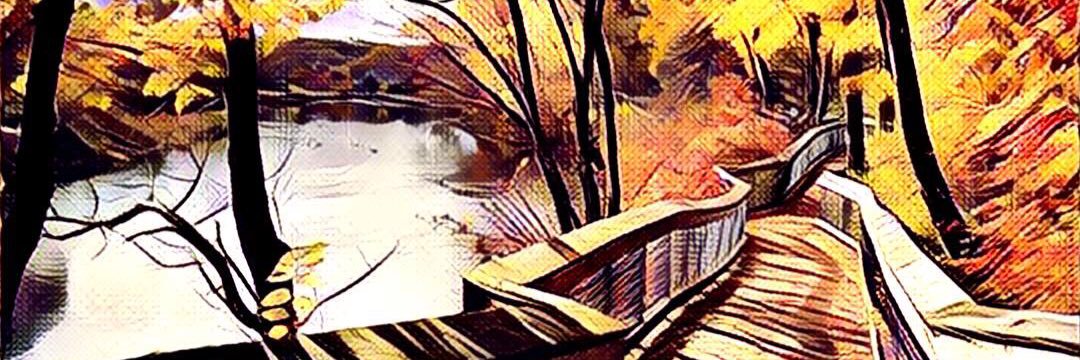 mtgunder's profile banner image
