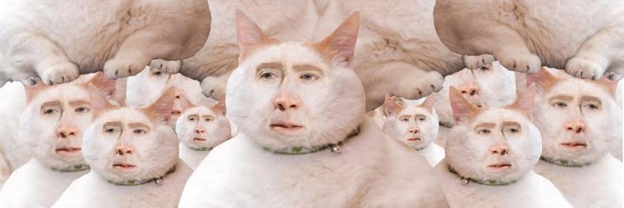 galatixa 🦎 banner