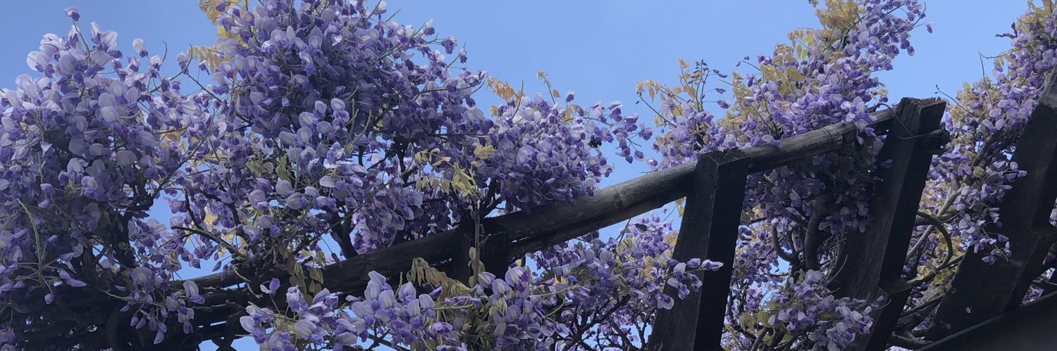 y0329701's profile banner image