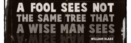 ShipperFools's profile banner image