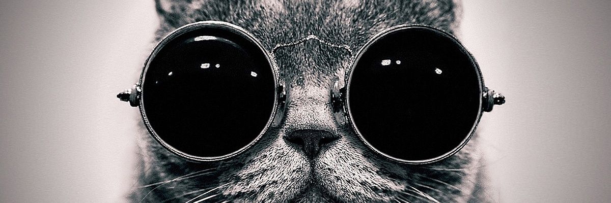 🅳🅰🅸🆂🆈 🆃🅷🅴 🅰🅲🆃🅾🆁 banner