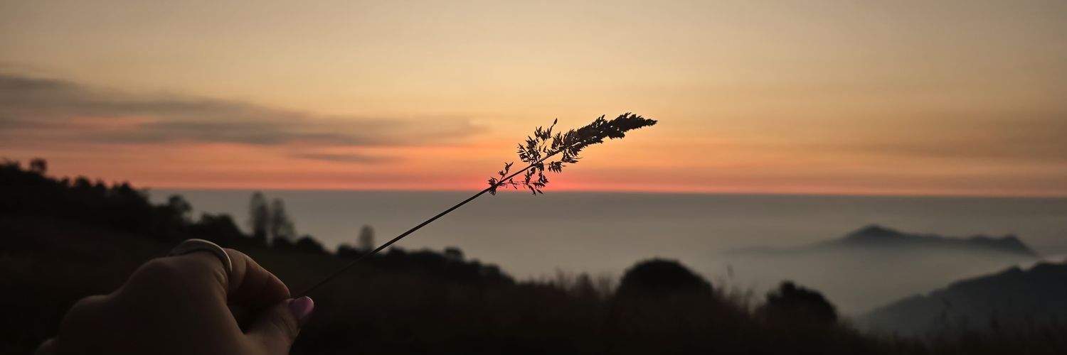 mikiluu94's profile banner image